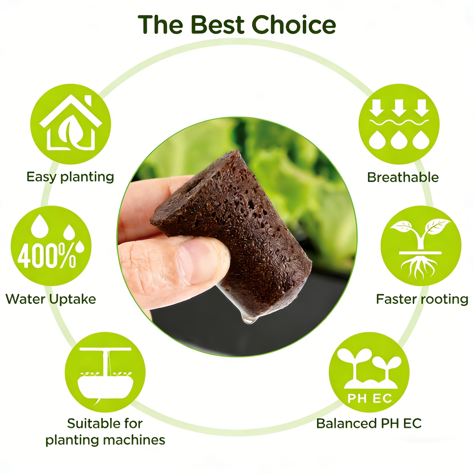 إسفنج تغطية الحدائق للنمو، 20  - مراجعة Eco Sponge وسعره